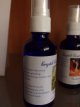 Aardedraak Crystal Angel Essence Aardedraak