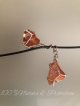 carneool hanger pure Carneool Hangertje Pure